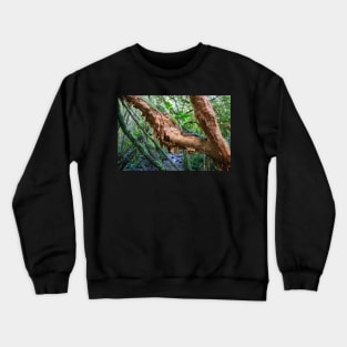 Peeling Bark. Crewneck Sweatshirt